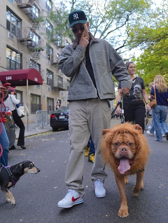 NEW YORK, UNITED STATES - OCTOBER 19: Dog owners in New York City are participating in the Tompkins Square Halloween Dog Parade, dressing their furry friends in colorful costumes on Sunday, October 19 ...
