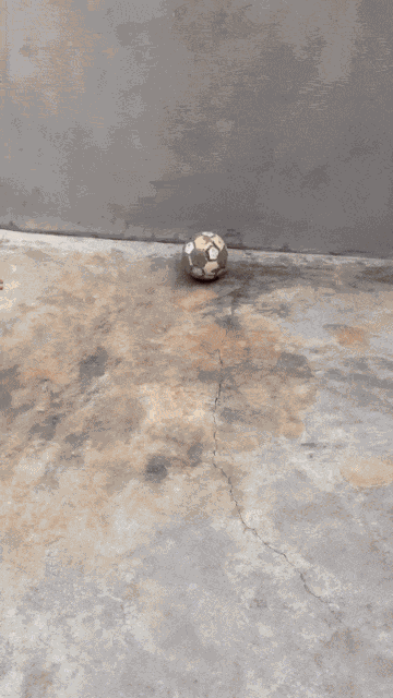 GIF animé