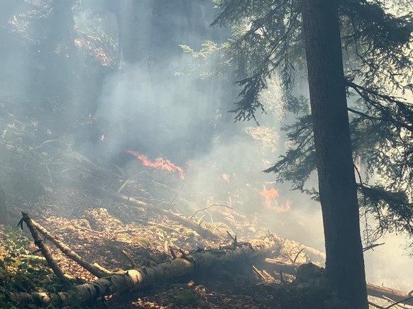 Incendie de forêt aux Roches-de-Moron: important dispositif mobilisé pour maîtriser le sinistre le mercrdedi 24 juin.