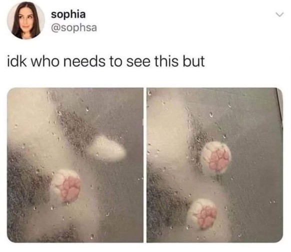 19 Memes, die einfach ans Herz gehen ❤ – Teil zwei