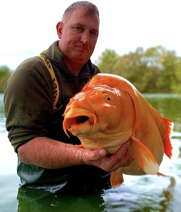 Aube: un Anglais pêche l'un des plus gros poissons rouges du monde