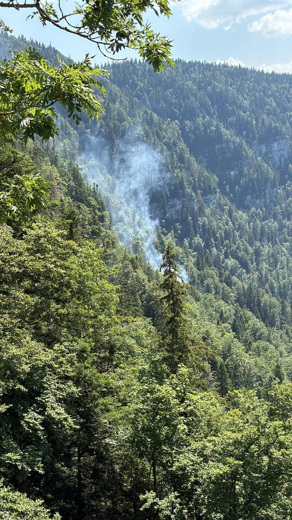 Incendie de forêt aux Roches-de-Moron: important dispositif mobilisé pour maîtriser le sinistre le mercrdedi 24 juin.
