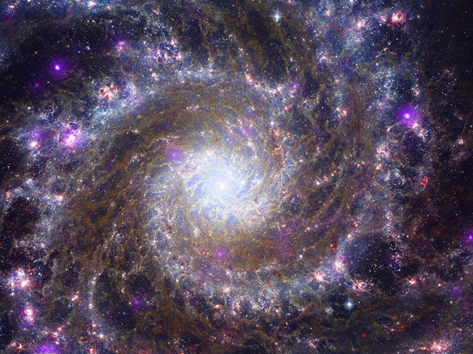 La galaxie M74 immortalisée par James Webb.