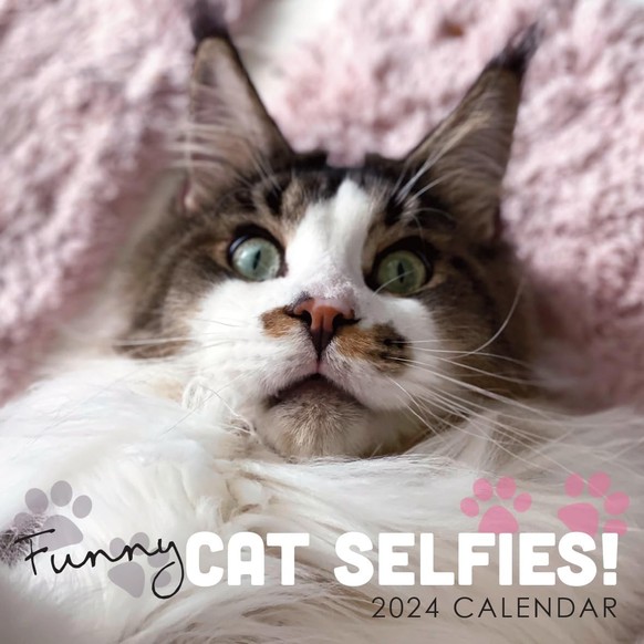 Cat Selfies 2024 Calender tiere katzen kalender https://www.amazon.co.uk/Selfies-Hanging-Calendar-Plastic-Organiser/dp/B0CH8V34DQ/ref=sr_1_2_sspa?keywords=weird%2Bcalendar&amp;amp;qid=1701178611&amp;a ...