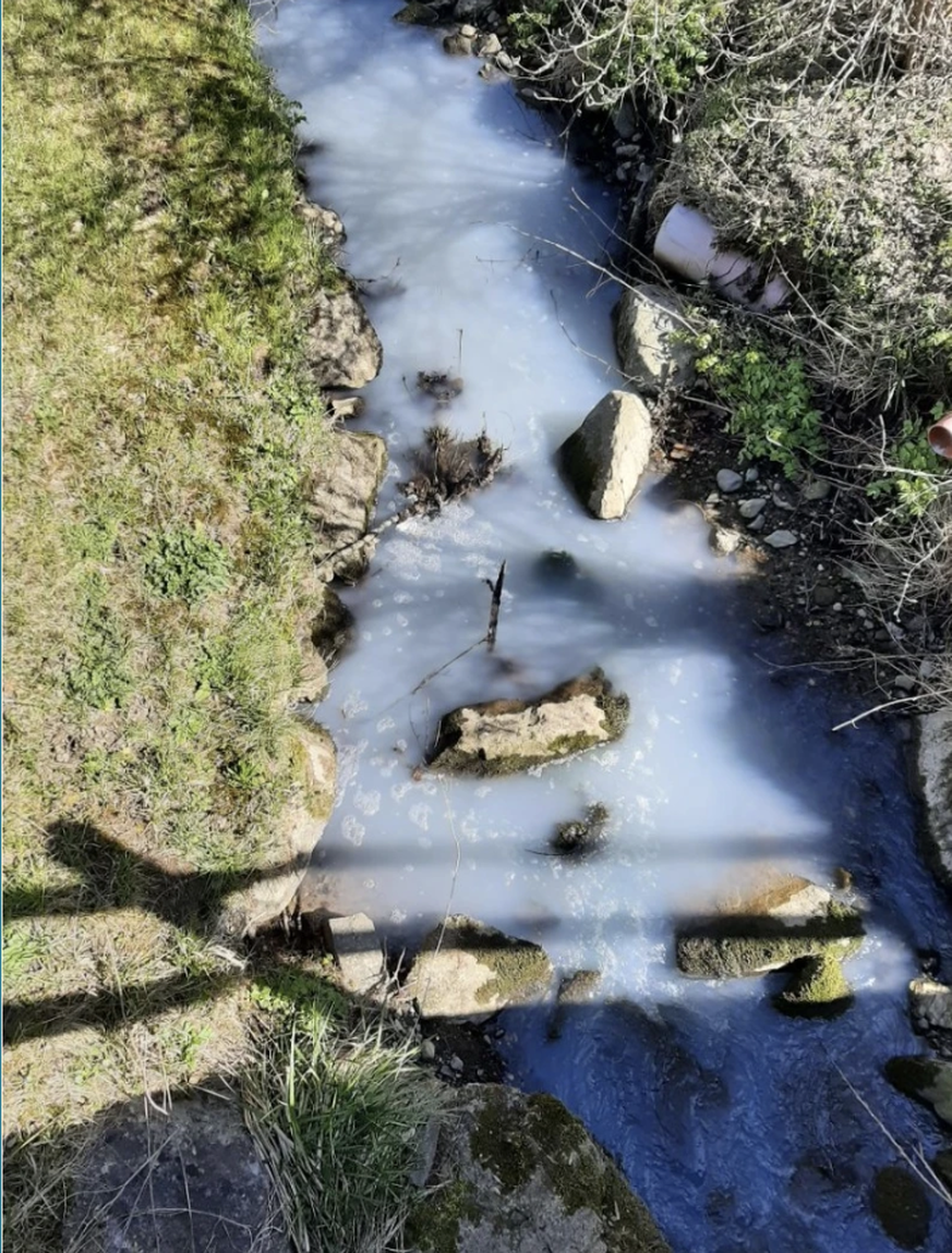 Un déversement accidentel de lait a provoqué une pollution sur plusieurs kilomètres dans un ruisseau à Villariaz.