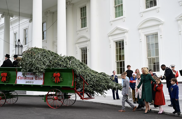 Chaque année, l'arrivée du sapin de Noël dans la «Blue Room» est un concentré d'Histoire et un passage obligé dans l'agenda de la première dame. Cette année, le choix s'est porté sur un sapin Fraser,  ...
