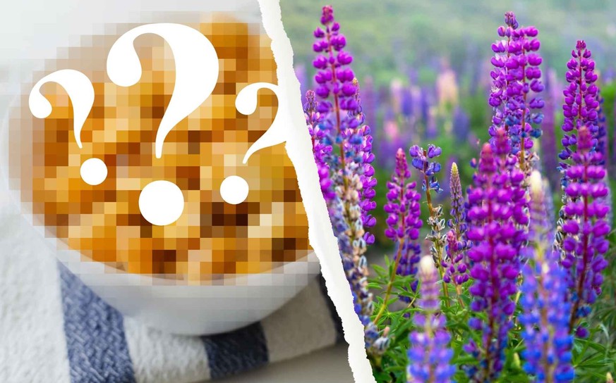 Le superaliment de l’année 2026 est…