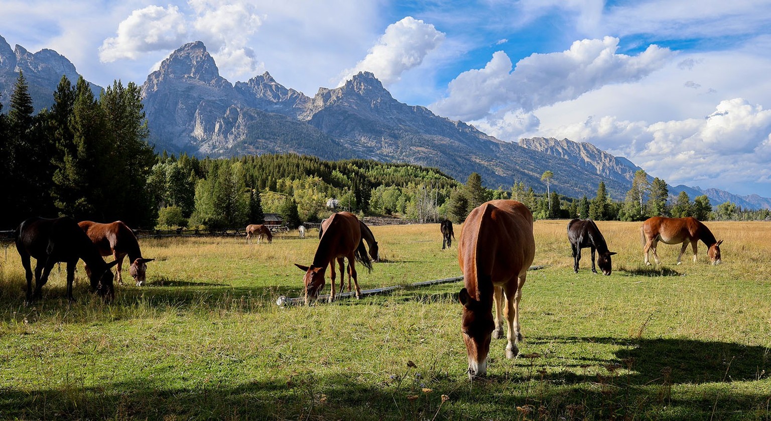 Shawn Vales USA: Bilder nur in Absprache mit Toggi verwenden.