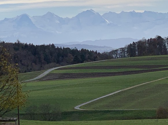 Vue des Alpes bernoises depuis le plateau de Diesse.