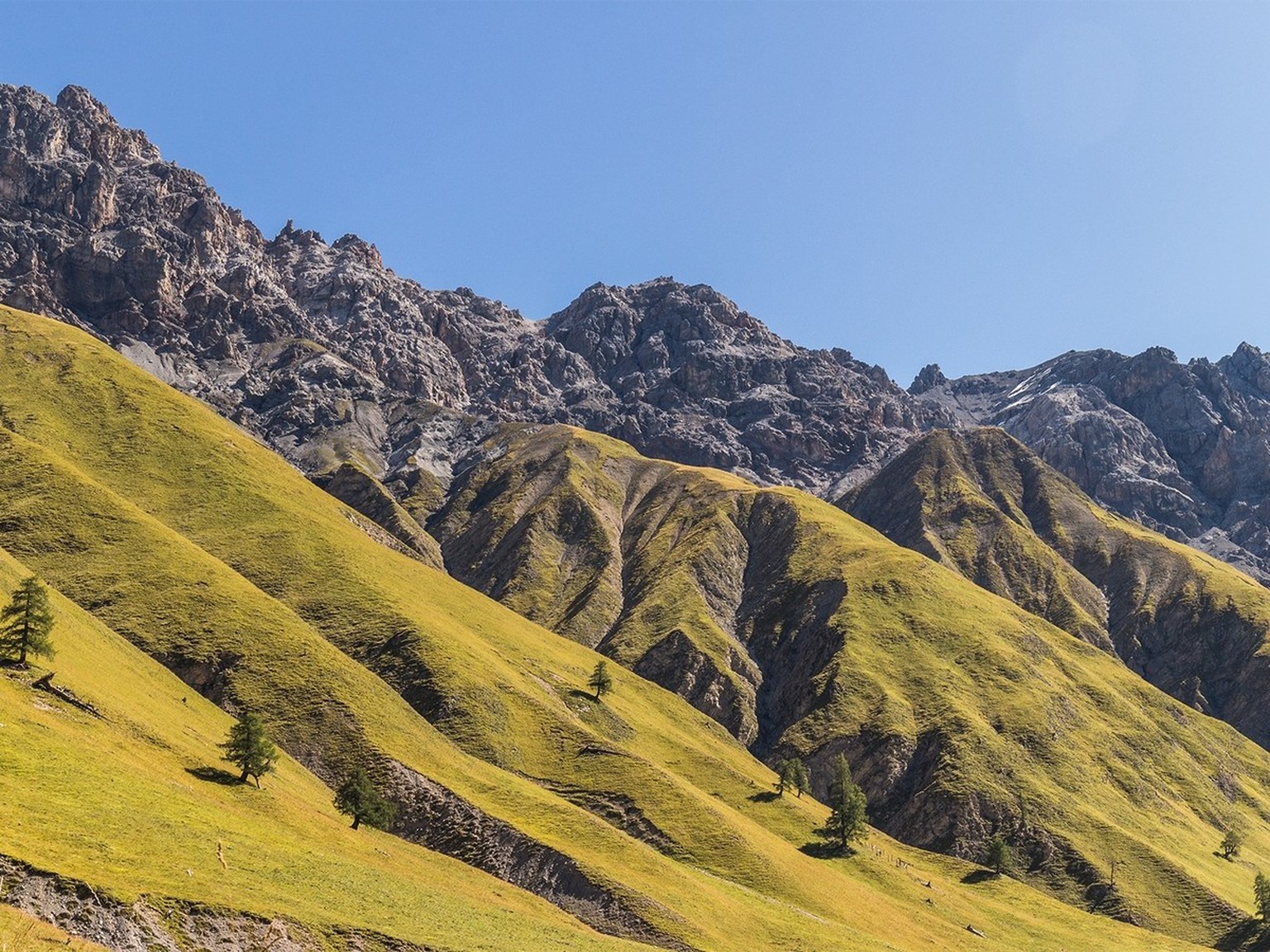 Le parc national au Val Trupchun, septembre 2019.
https://commons.wikimedia.org/wiki/File:Bergtocht_van_Pras%C3%BCras,door_het_Val_Trupchun_naar_Alp_Purcher_18-09-2019._(actm.)_03.jpg