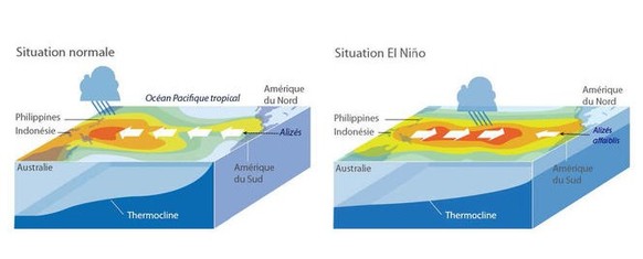 Comparaison entre une situation normale dans le Pacifique tropical et une situation El Niño. Dans le deuxième cas, les alizés s’affaiblissent et les eaux chaudes envahissent le centre et l’est du Paci ...
