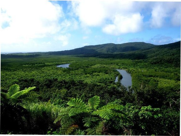 Le fleuve Nakama, à Okinawa