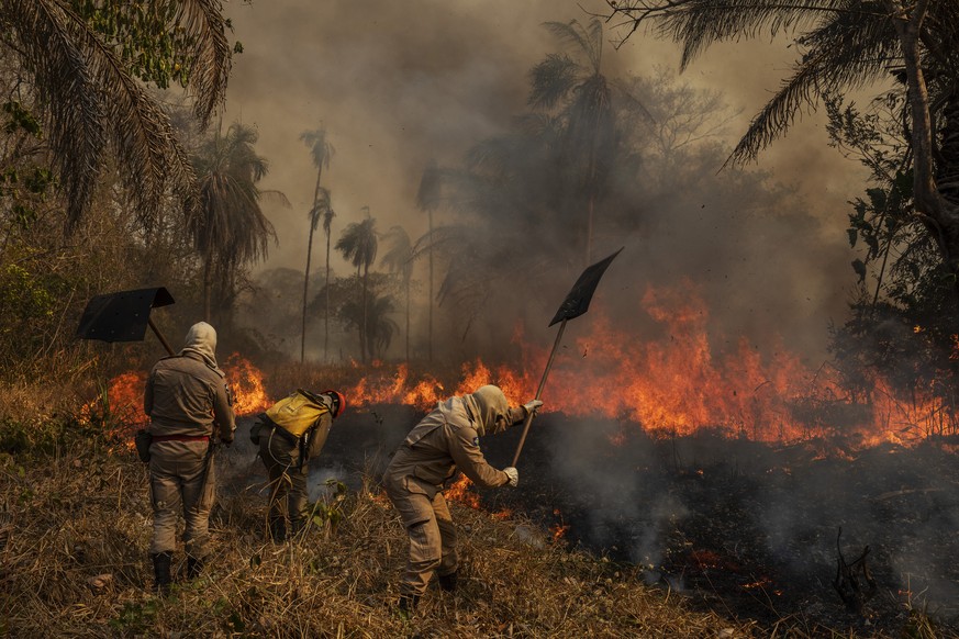 In this image released by World Press Photo, Thursday April 15, 2021, by Lalo de Almeida, Panos Pictures for Folha de Sao Paulo, titled Pantanal Ablaze, which won the first prize prize in the Environm ...