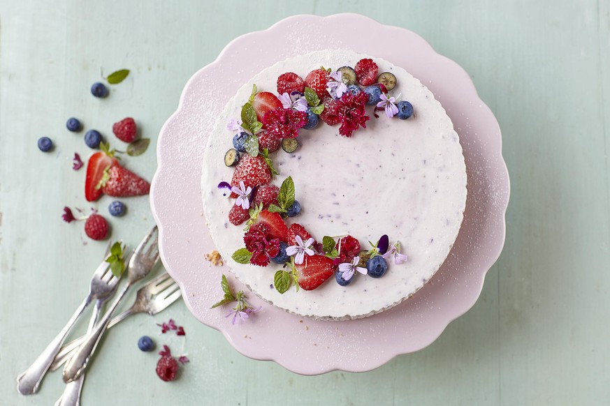 Cheesecake Les Secrets De La Gelatine Et De L Agar Agar