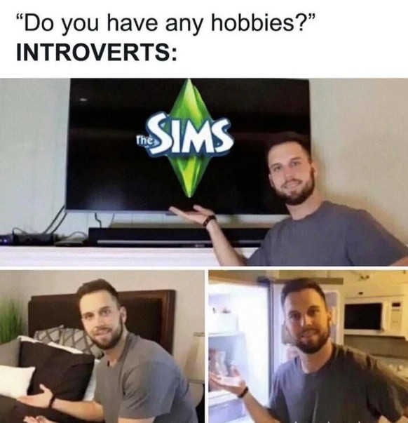 Die Sims in lustigen Memes