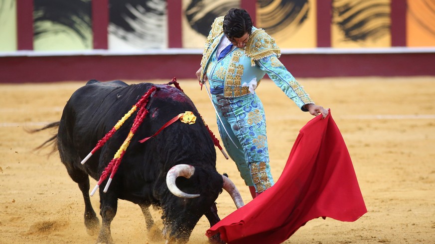 epa09422422 Spanish bullfighter Morante de la Puebla fights a bull during the traditional &#039;Corrida Picassiana&#039; at La Malagueta bullring in Malaga, Andalusia, Spain, 20 August 2021. The &#039 ...