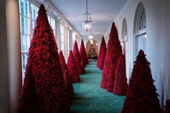 WASHINGTON, DC - JANUARY 6 : Trees line the East Colonnade during the White House Christmas preview in the East Wing of the White House on Monday, Nov. 26, 2018 in Washington, DC. (Photo by Jabin Bots ...