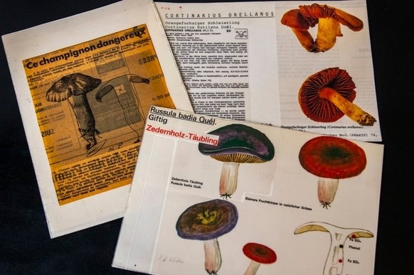 Outre les produits chimiques et les médicaments, les plantes et les champignons figurent parmi les causes fréquentes d’appels. Ces fiches datent des années 1970.