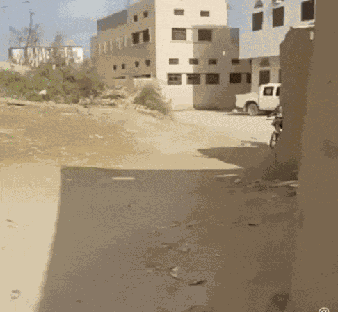GIF animé