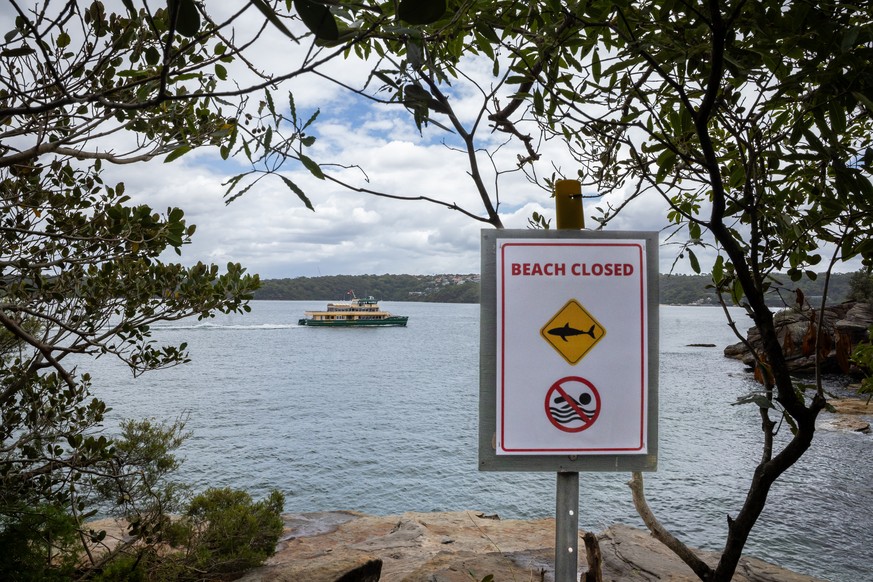 epa12663095 A general view of a popular rock jumping point at Hermitage Foreshore Walk near Shark Beach in Vaucluse, Sydney, New South Wales, Australia, 19 January 2026 (issued 20 January 2026). A 13- ...