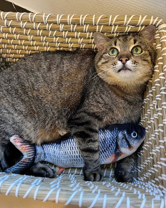 Il aime aussi la pêche.