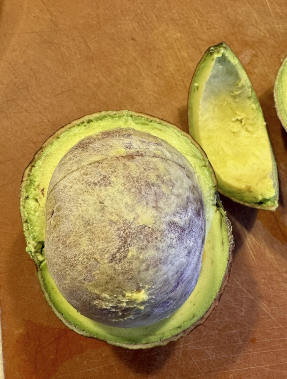 Die lustigsten Fails der Woche: Traurige Avocado