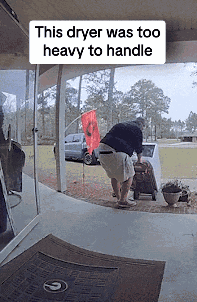 GIF animé