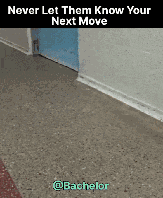 GIF animé