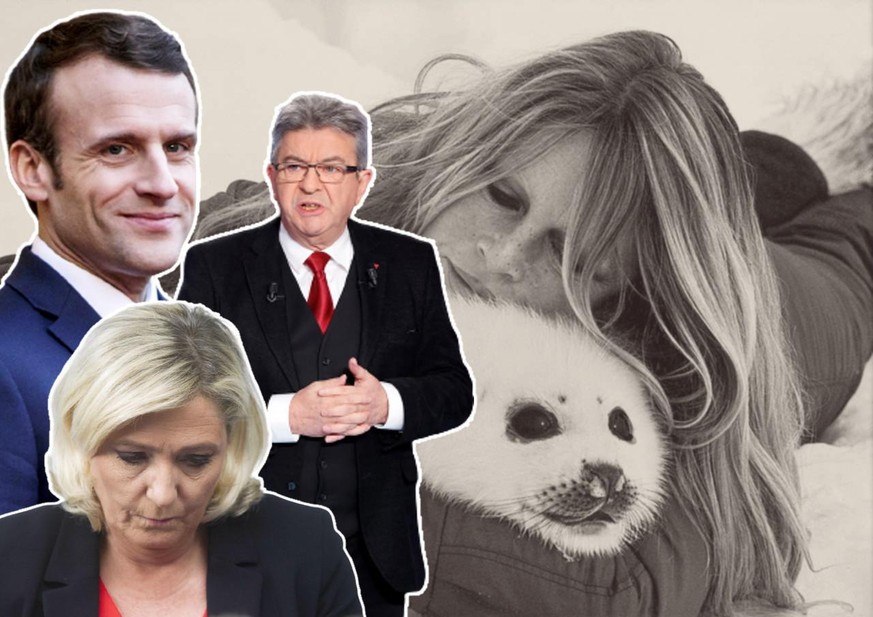 On ignore pour qui Brigitte Bardot votera à la présidentielle. En revanche, le patron de la Fédération nationale de chasse, lui, a fait son choix: ce sera Macron.