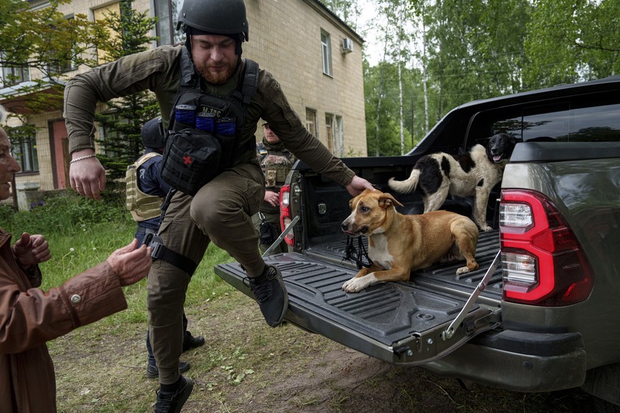A police officer jumps from a truck with a dog after evacuating local residents from Vovchansk, Ukraine, on Saturday, May 11, 2024. (AP Photo/Evgeniy Maloletka)