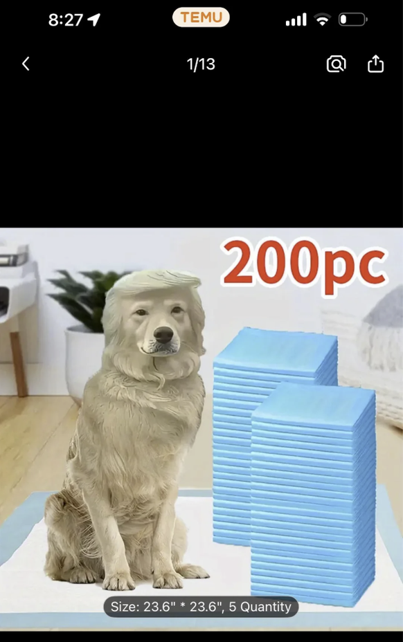 Shein und Co.: Photoshop- und KI-Fails