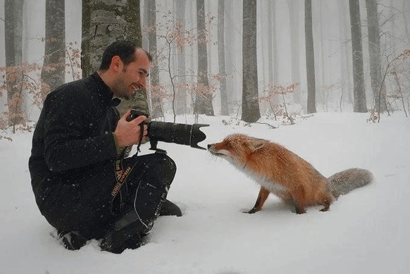cute news tier fotograf

https://www.reddit.com/r/FunnyAnimals/comments/1h5sw40/animals_disturbing_photographers/