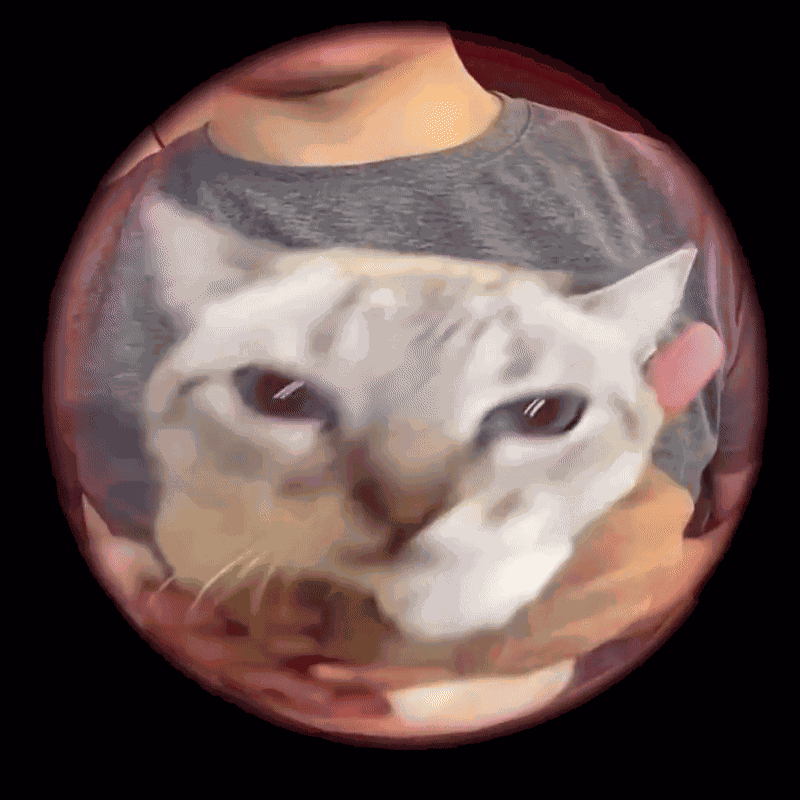 GIF animé