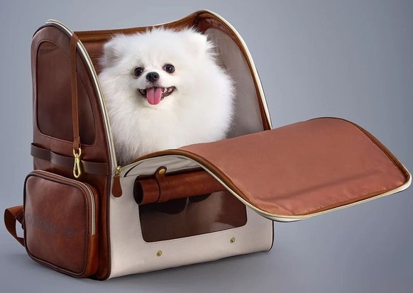 Adidas sort une collection pour chiens et chats.