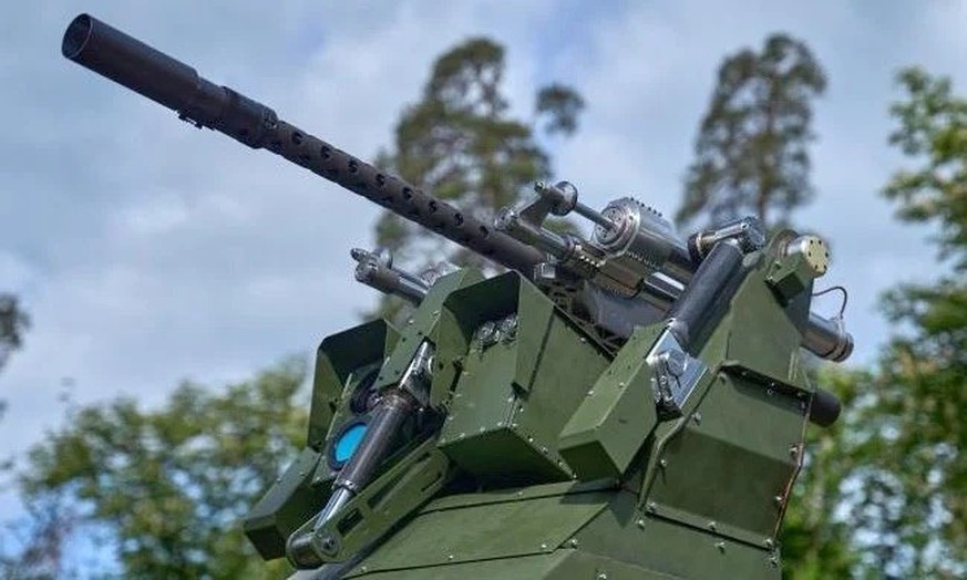 Equipées de capteurs et d’une mitrailleuse, ces tourelles robotisées utilisent notamment l’intelligence artificielle pour détecter et abattre les drones russes.
