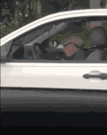 GIF animé