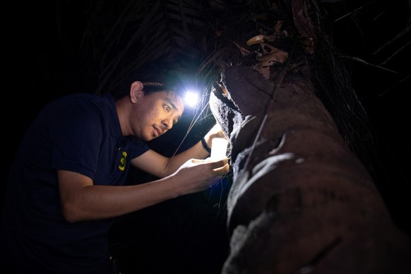 Aux Philippines, le "Seigneur des cafards" défend ces insectes mal-aimés