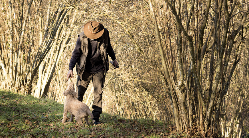 Der Trüffelfarmer Pierre Pittet unterwegs mit seinem Hund.