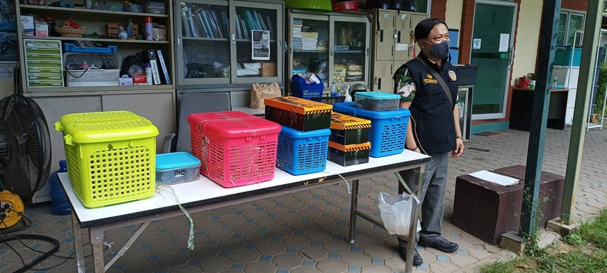 Elles tentent de prendre l'avion avec 100 animaux sauvages dans leurs valises