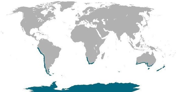 27 cartes du monde qui le montrent différemment