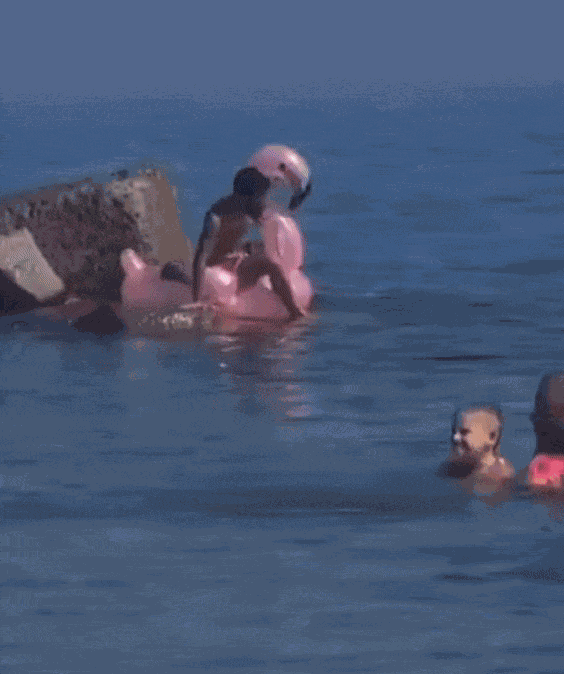 GIF animé