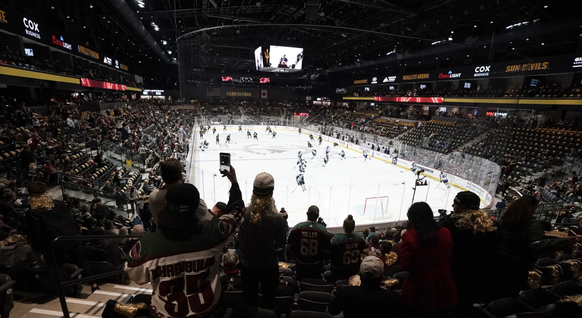 Le Mullett Arena ne répond pas aux attentes de la NHL.