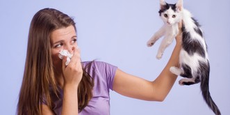 Bonne nouvelle pour les allergiques