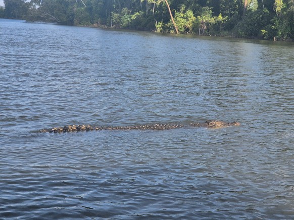 corinas bilder australien cute news