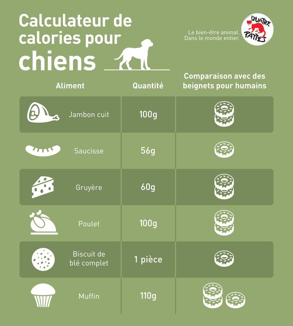 Calculateur de calories pour chiens © QUATRE PATTES