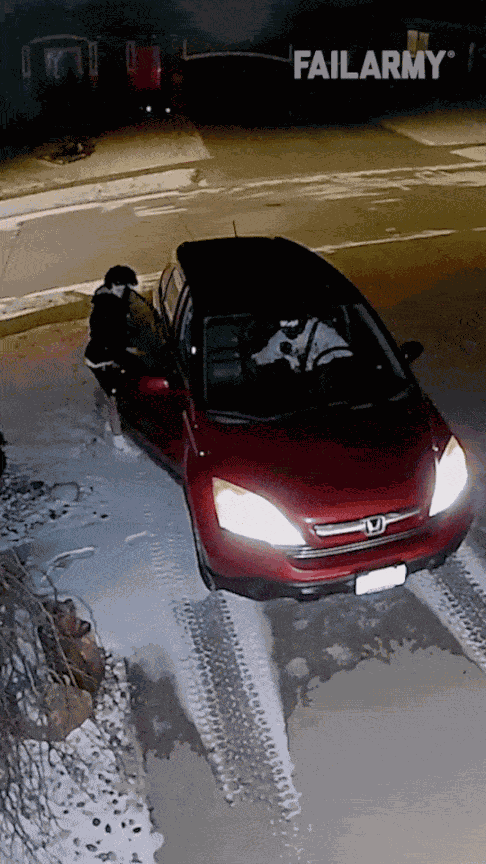 GIF animé