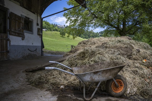 Les récoltes de foin et d’herbe ont fortement diminué. L’OFAG accorde donc une dérogation temporaire aux exploitations biologiques suisses (image d'illustration).