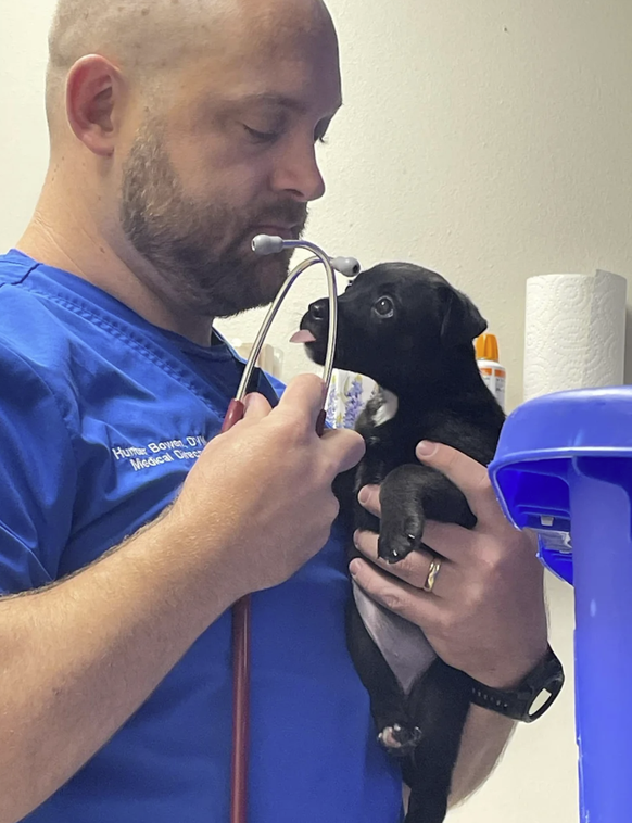 Cute News beim Tierarzt