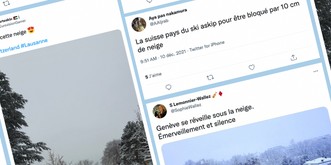 Le cœur de Twitter balance entre joie pour la neige et haine des CFF ❄️