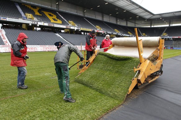 Arbeiter verlegen den Naturrasen auf eine Folie, die auf dem Kunstrasen liegt, am Mittwoch, 7. Dezember 2011 im Stade de Suisse Wankdorf in Bern. (KEYSTONE/Peter Klaunzer)